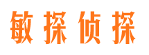 辰溪市侦探调查公司